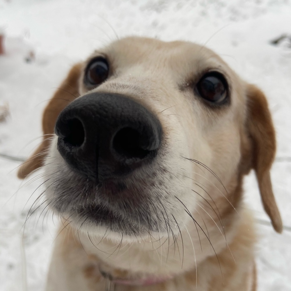 Meet your Posher, Tay